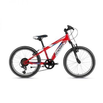 Picture of TECNOBIKE 20" STORM