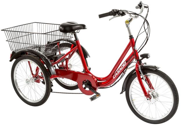 Immagine di E-BIKE TRE RUOTE 20 6V ANSMANN 36V-10.4AH MOTORE ANT.