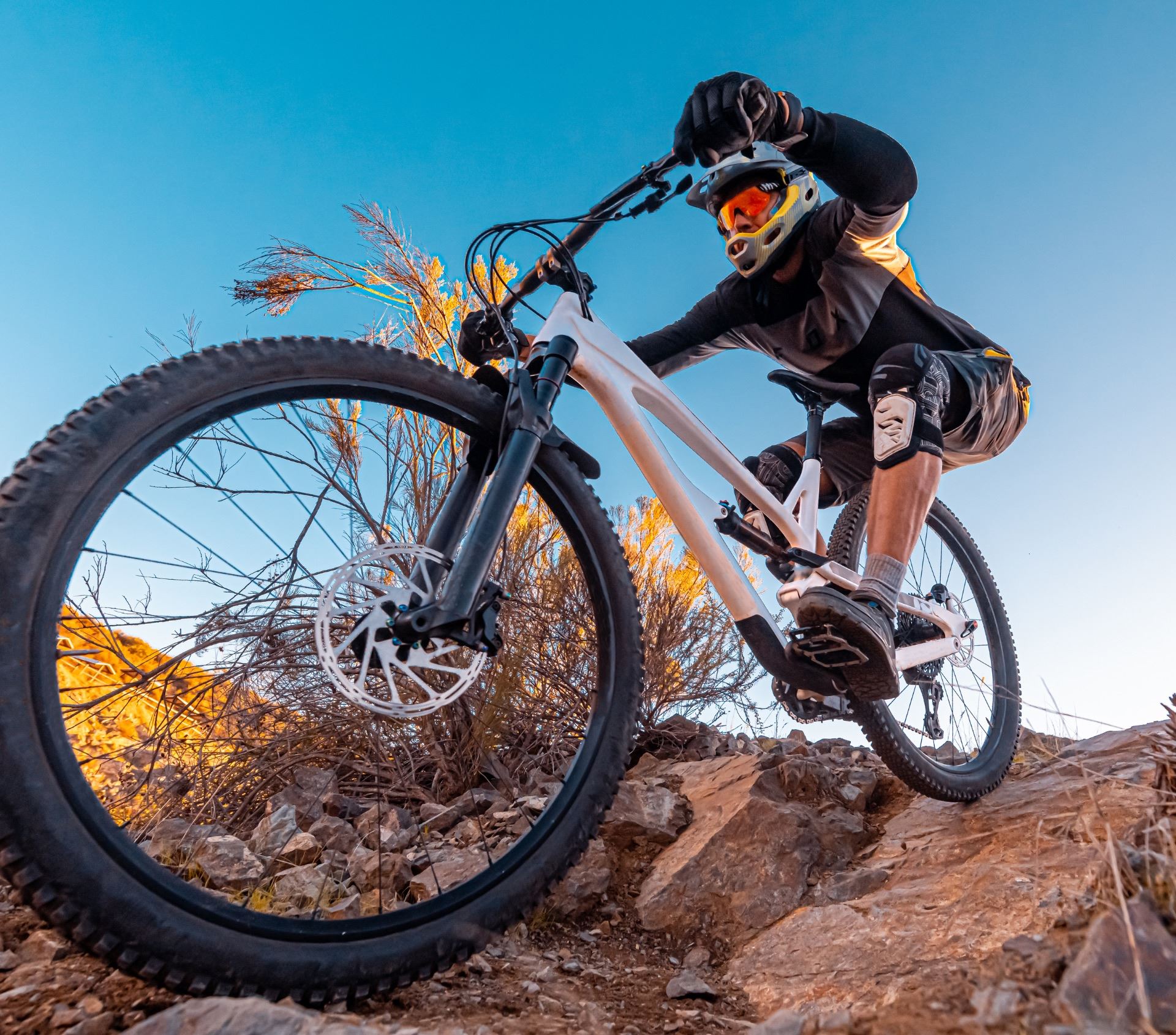 Picture for category Mountain bike